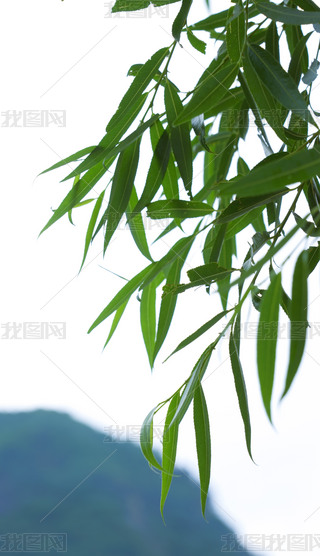 ԭ(chung)촹Gѿ(ji)ˮ~V汳