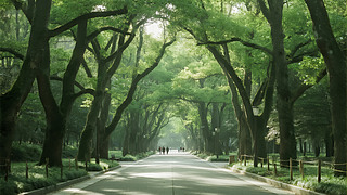 ﹝(ji)a·GɫȻL(fng)