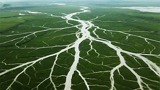 С(ji)⺽ĺ}j(lu)B(ti)h(hun)Ȼ