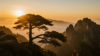 ꖹ(ji)SɽӭճƺL(fng)ⱳ