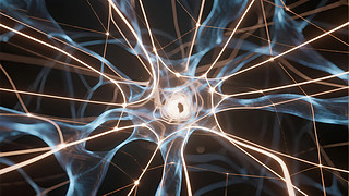 Ƽ˹(jng)W(wng)j(lu)t(y)WPPTD