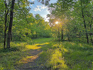 (yng)⴩^(gu)ֵľGɫС·