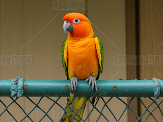 ȾGg̫(yng)FβW^ϢڙڗU