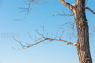 {(ln)µĿݘ(sh)֦(sh)