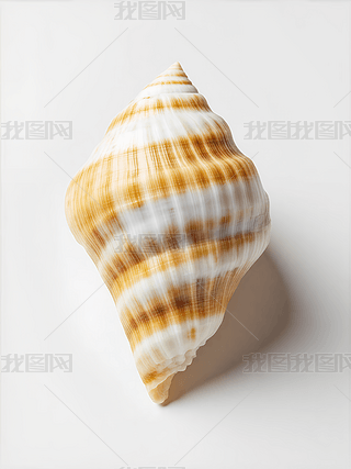 xĺF΁ţĿܛw(dng)