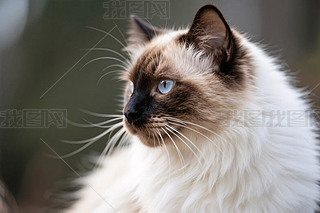 _؈?zh)،?>
                                                                    </a>
                                <div   id=