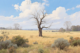 ԭ(sh)L(fng)宋(hu)