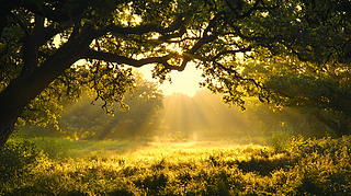 (yng)⴩^(gu)(sh)ֵČ?k)o