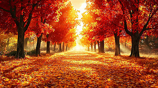 (yng)µļtɫ(sh)С·