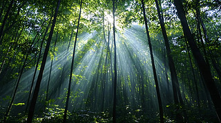 (yng)⴩^(gu)ֵĹ⾀