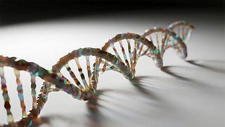 DNApY(ji)(gu)Ƽt(y)D