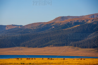 Ї(gu)½ِľزԭcϼɽL(fng)