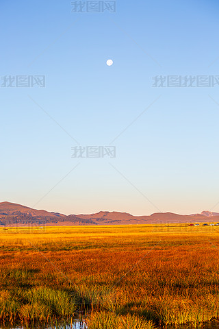 Ї(gu)½ɽɽ(chng)Ұ֮ϵcϼ