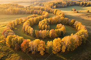 խh(hun)Θ(sh)B(nio)