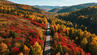 ֹ(ji)⹫·Խɫɭ{α