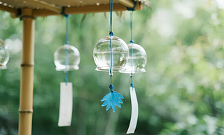 С(ji)ʽL(fng)?f)Ժ{