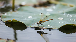 ̎(ji)Ѻ~¶ȻB(ti)