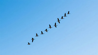 ﹝(ji)w{(ln)(du)бD