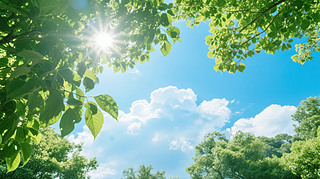 С(ji)վG~ꖹȻh(hun)