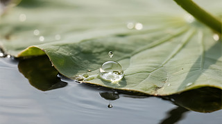 ̎(ji)~¶鵹ӰoUȻ