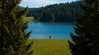 (d)һ˺߅ɭ֌?k)o˼L(fng)ⱳ