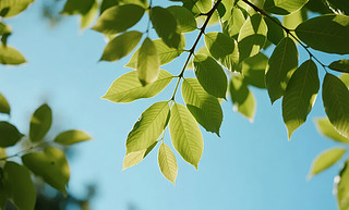 С(ji)G~ꖹ{(ln)ȻD