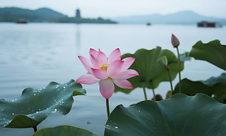 С(ji)ɻʢ_(ki)UⱳD