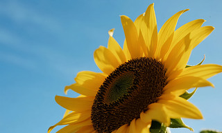 С(ji)տ{(ln)ꖹeOϱ