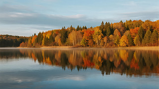 ֹ(ji)浹Ӱ＾okL(fng)ⱳ