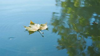 ̎(ji)~ˮ浹ӰUΨ