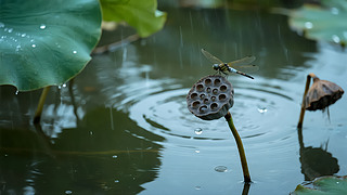 ̎(ji)⚈ ʽUˮīD