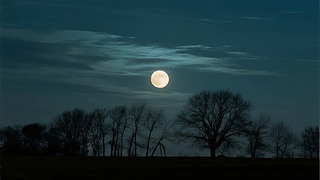 ﹝(ji)ҹ(sh)ּӰ?k)o˼l(xing)