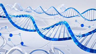 t(y)ƼDNA﹤̿ƌW(xu)о