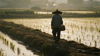 ֹ(ji)r(nng)ڄSr(nng)I(y)D