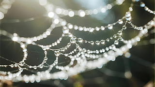 ¶(ji)֩W(wng)¶峿(yng)ȻD