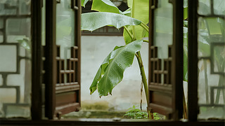 ̎(ji)ʽͥԺŽ~ӰUⱳ