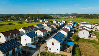 r(nng)彨O(sh)̫픺l(xing)d