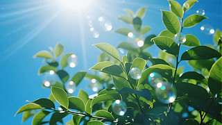 С(ji)G~ꖹ¶­h(hun)Ȼ