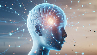 ˹ܴX(jng)W(wng)j(lu)Ƽ(chung)t(y)