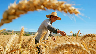 ﹝(ji)r(nng)Sr(nng)I(y)ڄ(dng)ϲ