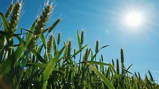 С(ji)Gɫ{(ln)(yng)r(nng)I(y)L(zhng)