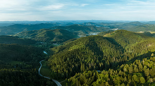 ɭֹ·{ξGɫB(ti)Lⱳ