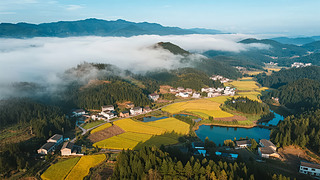 ﹝(ji)l(xing)嵾SպL