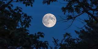 ﹝(ji)Ϧ(ji)oҹ˼˼l(xing)б