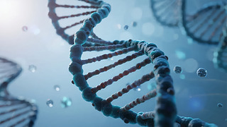 DNAƌW(xu)t(y)Ƽ󱳾D