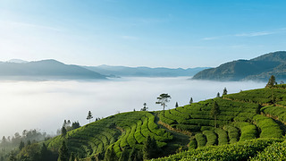 ﹝(ji)ƺ@B(ti)r(nng)I(y)L(fng)ⱳ