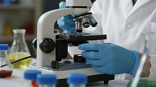 t(y)Ќ(sh)(yn)ҿƌW(xu)@΢Rаl(f)