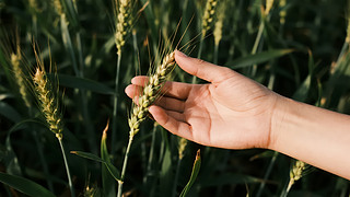 ﹝(ji)֓r(nng)I(y)SռZʳȫ