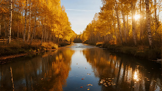 ﹝(ji)＾ɭֺӰɫ(yng)ⱳD