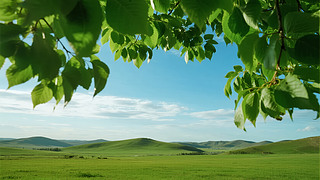 ﹝(ji)GɫԭȻL(fng)α